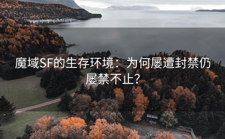 魔域SF的生存环境：为何屡遭封禁仍屡禁不止？